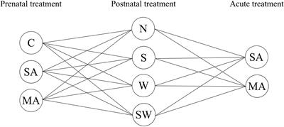 Different Oxytocin Responses to Acute Methamphetamine Treatment in Juvenile Female Rats Perinatally Exposed to Stress and/or Methamphetamine Administration